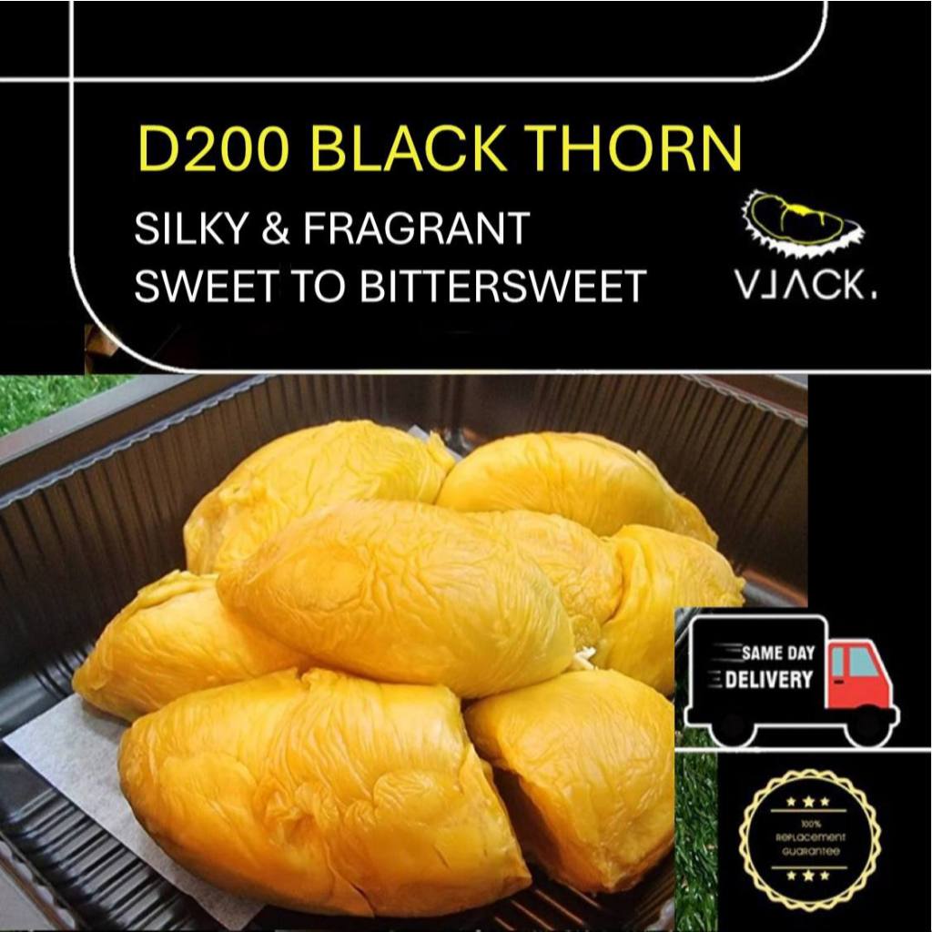 D200 Black Thorn (500g Each Box) Old Tree Durian Fruit Natural