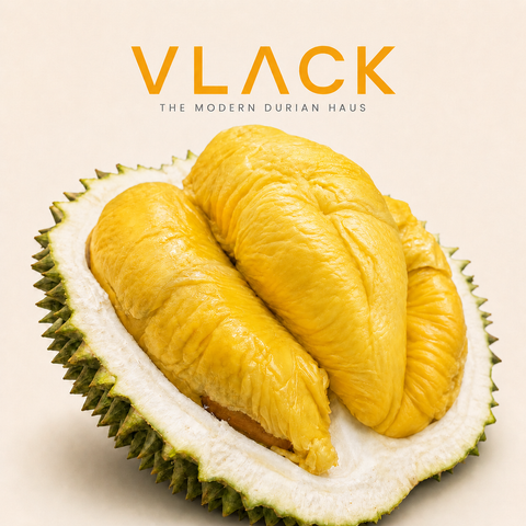 D197 Highland Musang King (450g per box) Old Tree Fresh Durians Natural