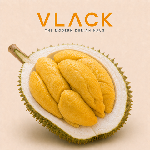 D1 GangHai (450g per box) Old Tree Fresh Durian Natural