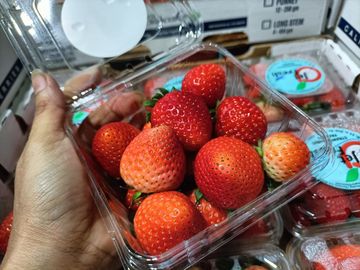 JET FRESH STRAWBERRY (250g/box)