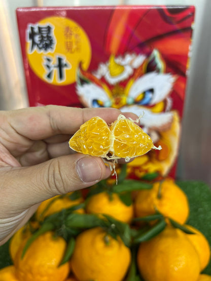 Vlack Chun Jian Orange (耙耙柑）