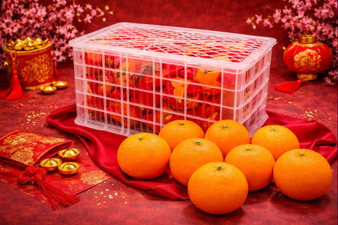 Vlack Hong Mei Ren 红美人 CNY Oranges Gift Box (Store)