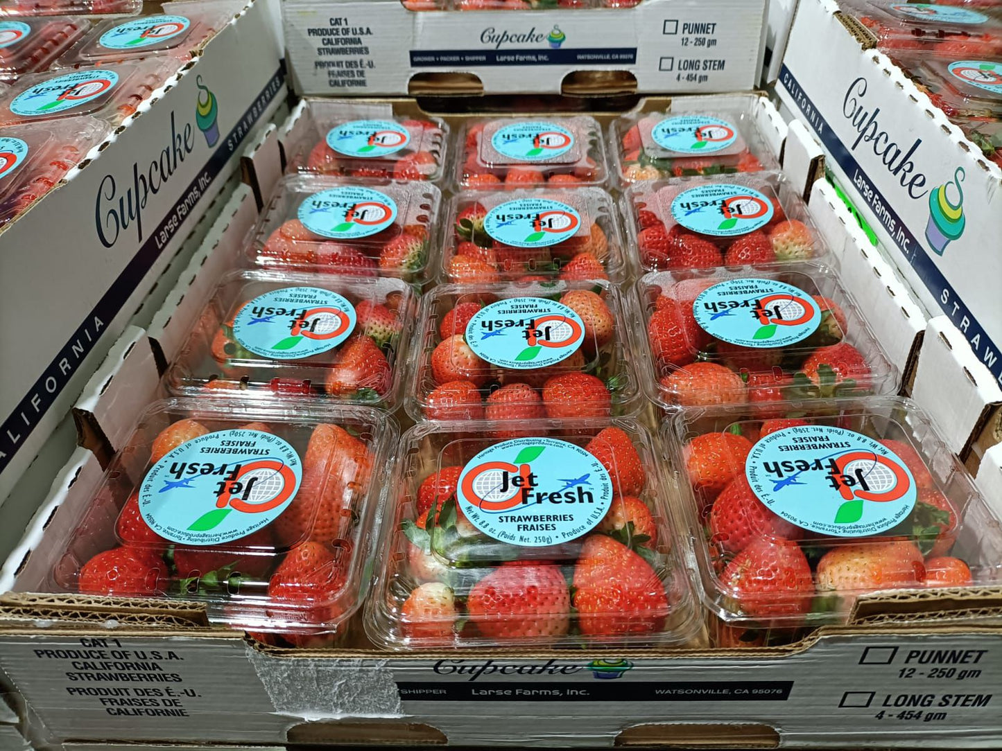 JET FRESH STRAWBERRY (250g/box)