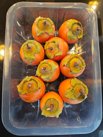 Soft Persimmon Small box of 12