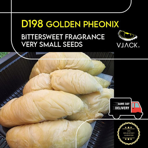 D198 Golden Phoenix Johor (450g Per Box) Old Tree Fresh Durian Natural