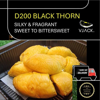 D200 Black Thorn (500g Each Box) Old Tree Durian Fruit Natural